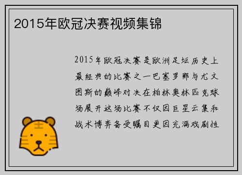 2015年欧冠决赛视频集锦